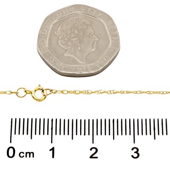 9ct gold 3.6g 18 inch Locket with chain